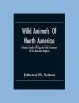 Wild Animals Of North America Intimate Studies Of Big And Little Creatures Of The Mammal Kingdom