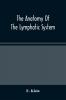 The Anatomy Of The Lymphatic System