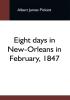 Eight Days In New-Orleans In February 1847