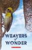 Weavers of Wonder