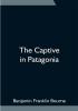 The Captive in Patagonia