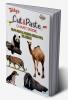 Tubbys Cut & Paste Chart Book Wild's Animals Domestic Animals Pets Sea Animals