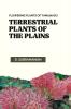 FLOWERING PLANTS OF TAMILNADU TERRESTRIAL PLANTS OF THE PLAINS