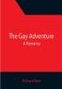 The Gay Adventure: A Romance