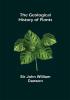 The Geological History of Plants