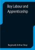 Boy Labour and Apprenticeship