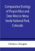 Comparative Ecology of Pinyon Mice and Deer Mice in Mesa Verde National Park Colorado