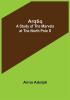 Arqtiq: A Study of the Marvels at the North Pole S