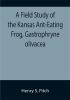 A Field Study of the Kansas Ant-Eating Frog Gastrophryne olivacea