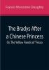 The Bradys After a Chinese Princess; Or The Yellow Fiends of 'Frisco