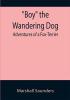 Boy the Wandering Dog: Adventures of a Fox-Terrier