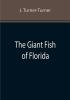 The Giant Fish of Florida