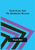 Flash Evans and the Darkroom Mystery