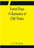 Forest Days A Romance of Old Times