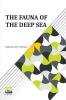 The Fauna Of The Deep Sea