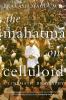 The Mahatma on Celluloid: A Cinematic Biography