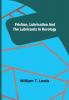 Friction Lubrication and the Lubricants in Horology