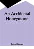 An Accidental Honeymoon