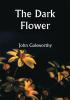 The Dark Flower