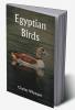 Egyptian Birds