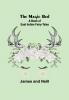 The Magic Bed: A Book of East Indian Fairy-Tales