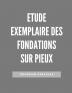 Etude Exemplaire des Fondations sur Pieux