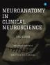 Neuro-Anatomy in Clinical Neuro Science