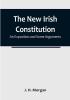 The New Irish Constitution: An Exposition and Some Arguments