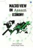 Macro View on Assam Economy