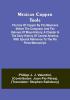 Mexican Copper Tools: The Use of Copper by the Mexicans Before the Conquest; and the Katunes of Maya History a Chapter in the Early History of ... Reference to the Pio Perez Manuscript.