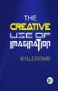 The Creative Use of Imagination