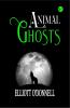 Animal Ghosts