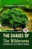 The Shades Of The Wilderness A Story Of Lee’S Great Stand