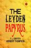 The Leyden Papyrus