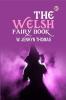 The Welsh Fairy Book