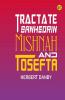 Tractate Sanhedrin Mishnah and Tosefta