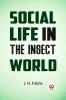 Social Life In The Insect World