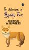 The Adventures of Reddy Fox