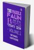 The marble faun: or The romance of Monte Beni|Volume 2