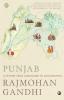 Punjab A History from Aurangzeb to Mountbatten