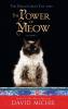 The Power Of Meow - A Novel