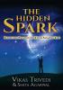 The Hidden Spark