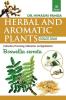 HERBAL AND AROMATIC PLANTS – 46. Boswellia serrata (Salai Gum)