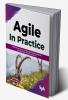 AGILE in Practice