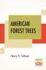 American Forest Trees