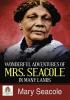 Wonderful Adventures of Mrs Seacole in Many Lands