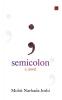 semicolon : a novel