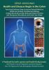 Health and Disease Begin in the Colon: Featuring: Professor Serge Jurasunas' Natural Medicine. Healthcare Strategy: Introducing Iridology Analytic ... Therapeutic Microbiome and Colon Care Detox.