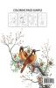 Birds Coloring Book : Exotic Birds Book | All The Birds In The Sky