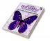 Beautiful Butterfly Coloring Book : Fun Educational Children Coloring Book | Age 6-12 | 50 Unique and Original Butterflies Illustrations